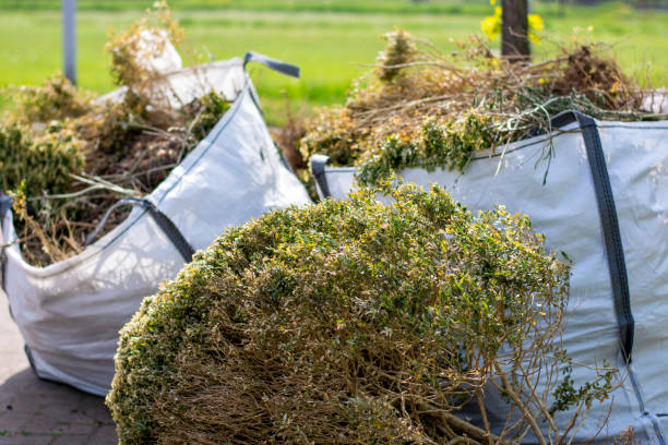 Best Construction Debris Removal  in Battlement Mesa, CO